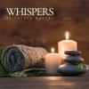 Spa Music Relaxation Meditation、Ayurveda、Wellness、Relaxing Music - Spa Music