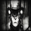 SALOMON JEDIDIAS - Teleporting Beats