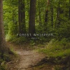 Ambulo - Forest Whispers