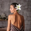 Spa Music Consort、Spa Relaxation、Ultimate Spa Music - Feng Shui Music