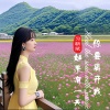 习新斌 - 如果有一天你要离开我