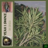 The Grigga、Double E、Strait 28 - Yeah I Smoke (feat. Double E & Strait 28)(Explicit)
