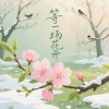 牙箍妹 - 等一场花开 (DJ版)