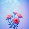 伊森 - 蓦然回首