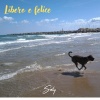 Soly - LIBERO E FELICE (Explicit)