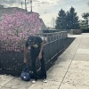 CLVN - ten toes (Explicit)