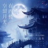 王超然 - 空留月光在西楼 (DJ九零版)