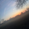 Bri - sunny