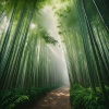 Relaxation Sounds、Peaceful Music Moments、Nature Sounds Collabo - Waves Of Earthly Sound