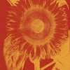 Theta Aum、The Unexplainable Store、Ashra - Sound Yoga