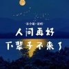 宋小娟 - 人间再好下辈子不来了