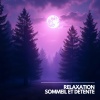 Musique Calme et Relaxation、Relaxation Sommeil et Détente、Musique de Relaxation - Sable Silencieux