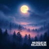 Musique Calme et Relaxation、Relaxation Sommeil et Détente、Musique de Relaxation - Source Silencieuse