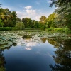 Blissful Relaxation Time、Cuban Music Playlist、Nature Label - The Flicker Of Unseen Light
