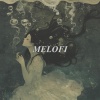 MELOPIA - Wilted roses