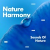 Sounds Of Nature - Near The Sea