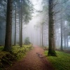 Relax Peaceful Piano、Autonomous ASMR、LIGHTNING - The Silence Between Two Thoughts