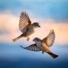 Relaxing Classical Piano Music、homework beats、Sounds Of The Earth - Every Breath Sinks Into Peace