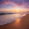 Relaxing Music for Sleep、Alpha Waves Savasana、Rainforest Sounds - Lofi Rhythms For Tranquil Souls