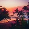 Relaxing Music For Working In Office、Ibiza Chill Lounge、Nature Ambience - Echoes Of Lofi In Lost Places