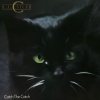 C.C. Catch - Cause You Are Young (Maxi Version)