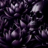 WIB3X - BL4CK LOTUS