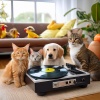 Harmonious Pet Relaxation、Instrumental Players、Amazing Rain - Sunbeam Sessions