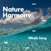 Whale Sounds - Afternoon Nap