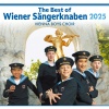 Gerald Wirth、Salonorchester Alt Wien、wiener sängerknaben - An der schönen blauen Donau, Op. 314 (Arr. Wirth for Choir & Orchestra)