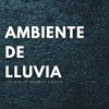 Tormenta、Lluvia y frío、Ambiente De Lluvia - Jardín Zen