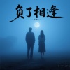 蒋蕙林 - 负了相逢