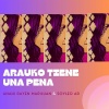 Anahi Rayen Mariluan、SoyLeo AR - Arauko tiene una pena
