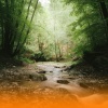 Massage Tribe - Soothing River And Birdsong With Ambient Healing Music And Gentle Piano For Inner Peace And Relaxation