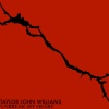 Taylor John Williams - Unbreak My Heart