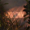 The Young Escape - Unknown