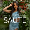 Mezo、Liber、Felivers - Saute