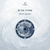 Bruce Zalcer - In The Storm