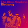 the blow monkeys - Birdsong
