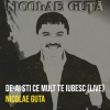 Nicolae Guta - De-Ai Sti Ce Mult Te Iubesc (Live)