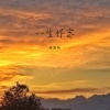 蒋蕙林 - 一生怀念