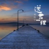 刘佳宁 - 送君一程