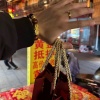 杜彦森、王思晗 - 爱呀 爱呀