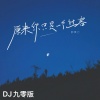 郝琪力 - 原来你只是一个过客 (DJ九零版)