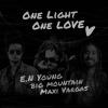 E.N Young、big mountain、Maxi Vargas - One Light One Love