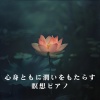 Relax α Wave - Shimmering Path to Calm