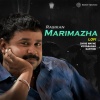 chris wayne、vidyasagar、Karthik - Marimazha (Lofi)