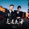 帅霖、嘉嘉 - 走进夜海