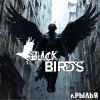Black Birds - Крылья