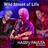 Harry Payuta - Wild Street of Life