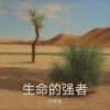 许名灿 - 生命的强者